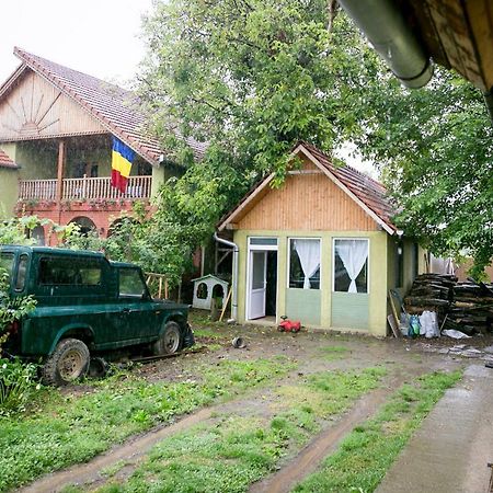 Pensiune Muzeu Traditional Poveste In Transilvania Sighişoara Exterior foto